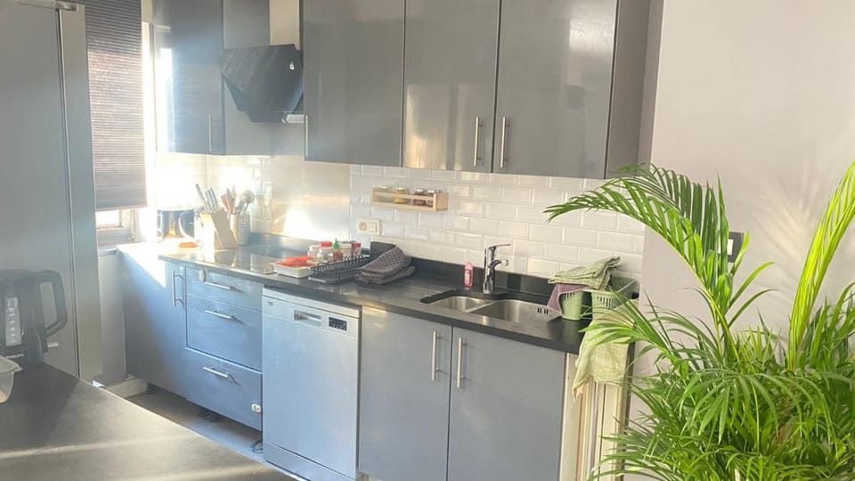 Strelitzyahouse Apartment in Flanders