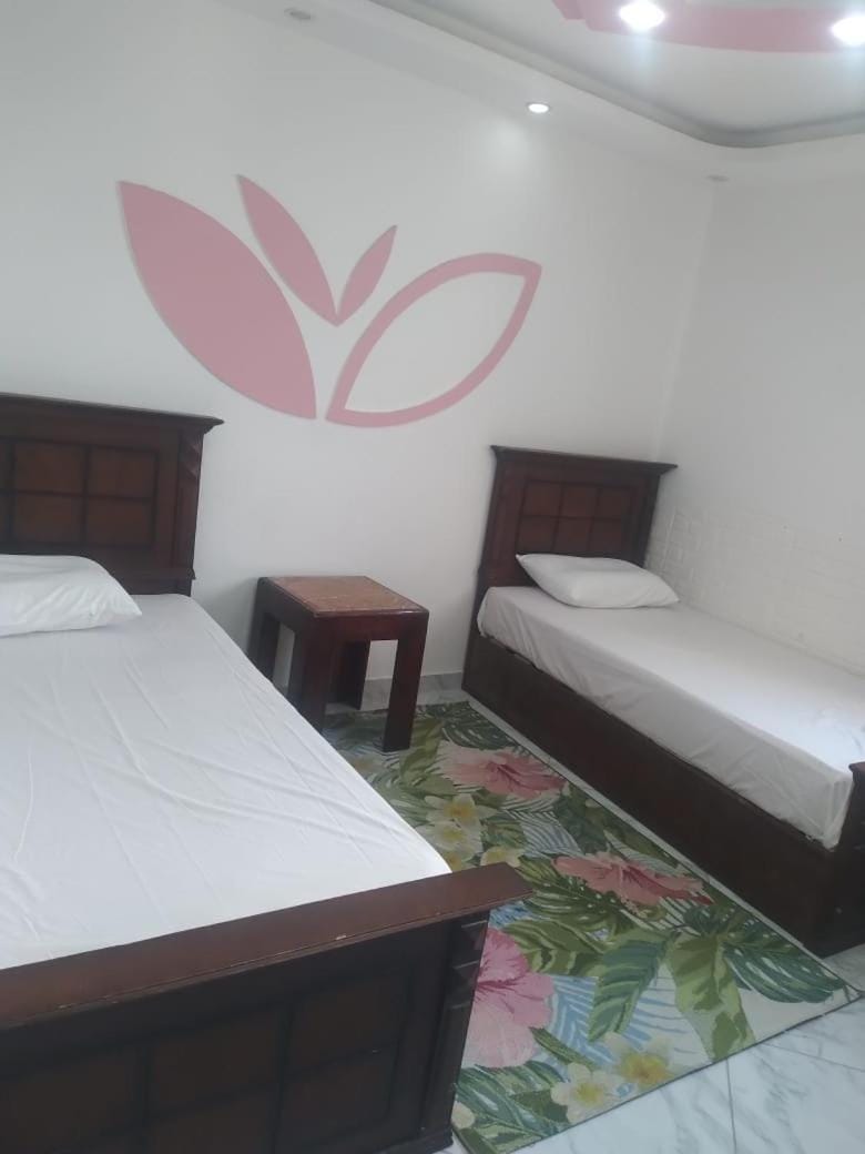 شقه فندقيه مفروشه محطه الرمل الازاريطه بحر Apartment in Alexandria