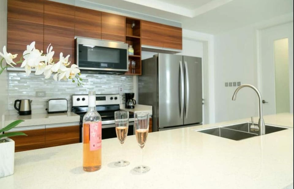 Penthouse Suite at 20 South - Suite 907 Apartment in Kingston