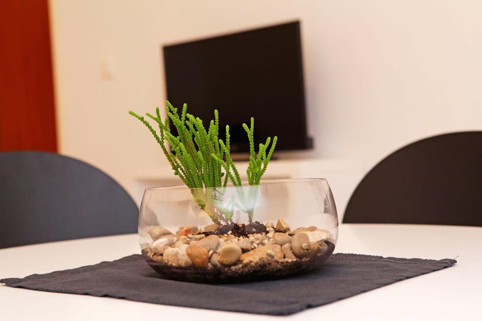 Communal lounge/ TV room, Decorative detail, Dining area