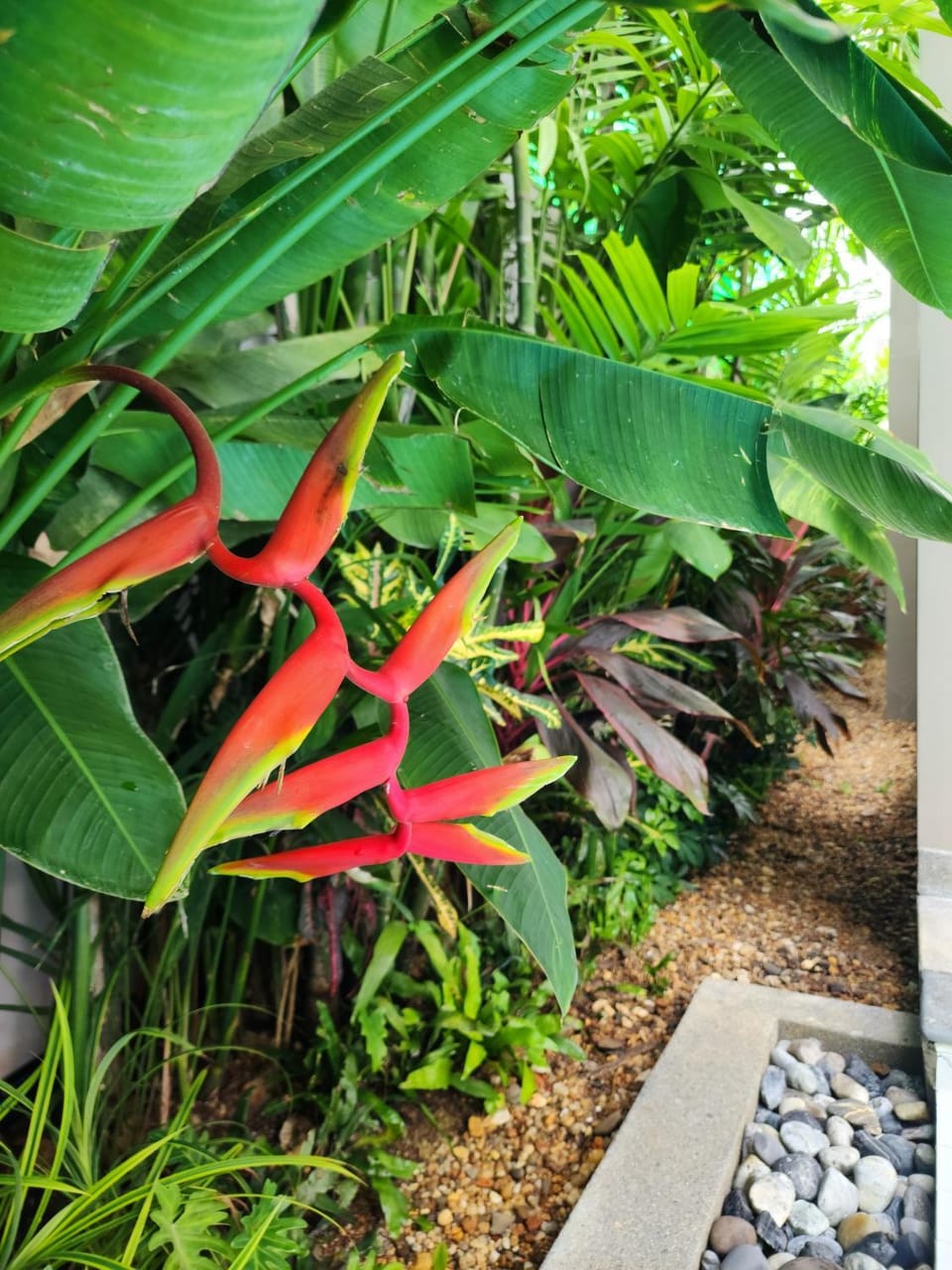 Natural landscape, Garden