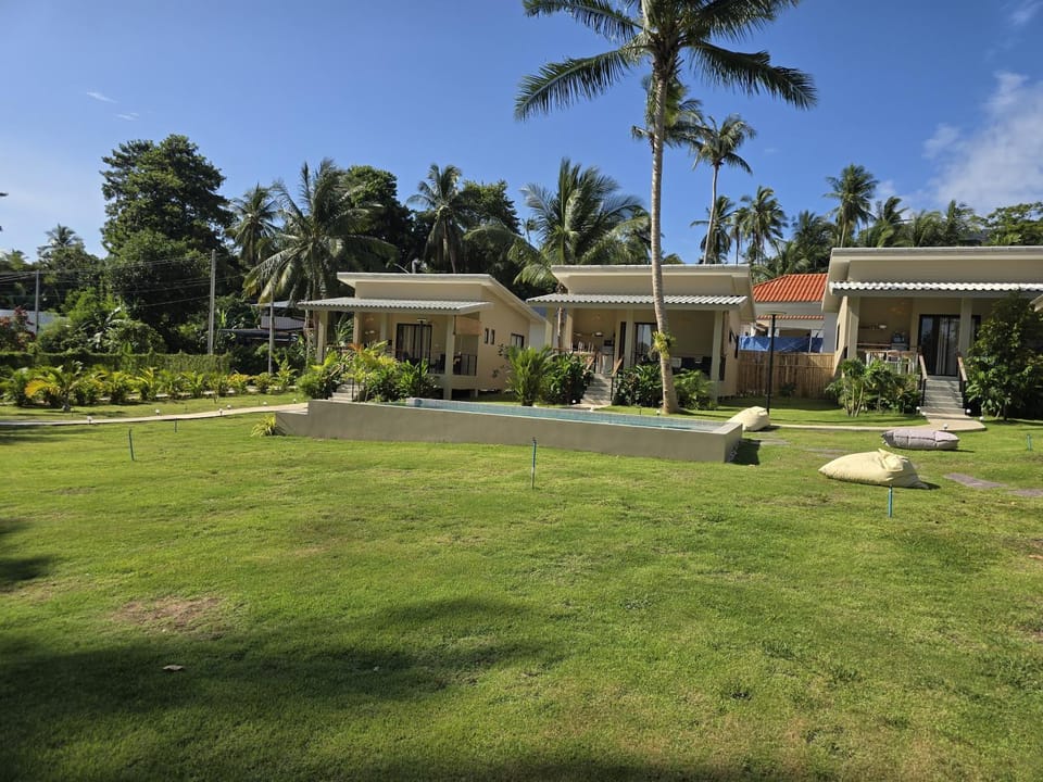 Property building, Garden view