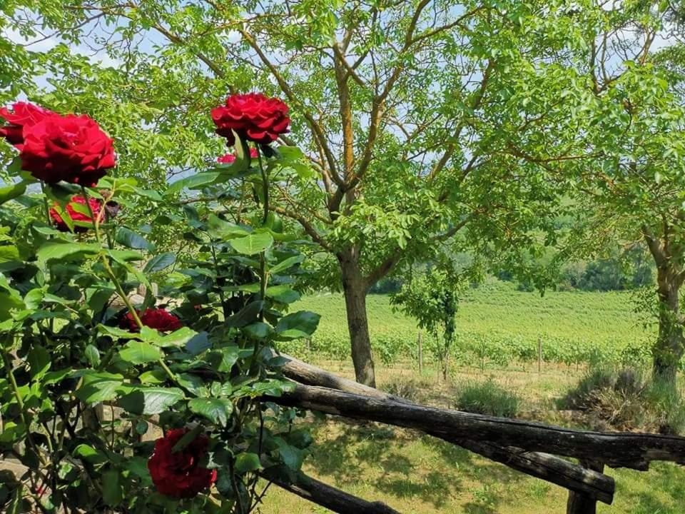 Cascina Valtignosa Camere Con Vigna Bed and Breakfast in Piedmont