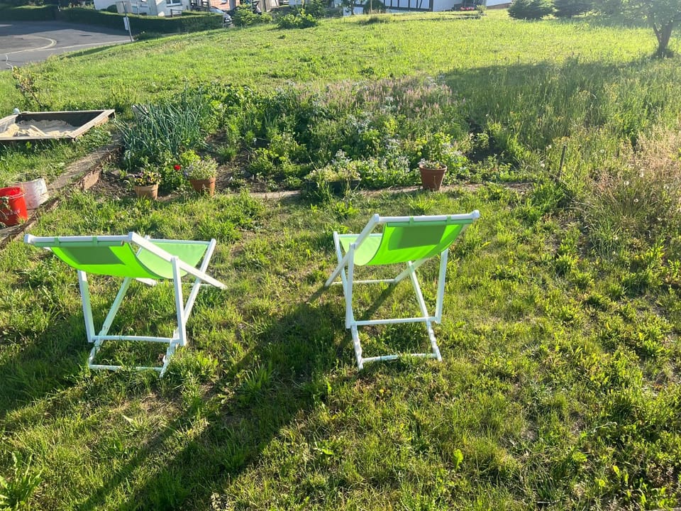 Day, Garden, sunbed