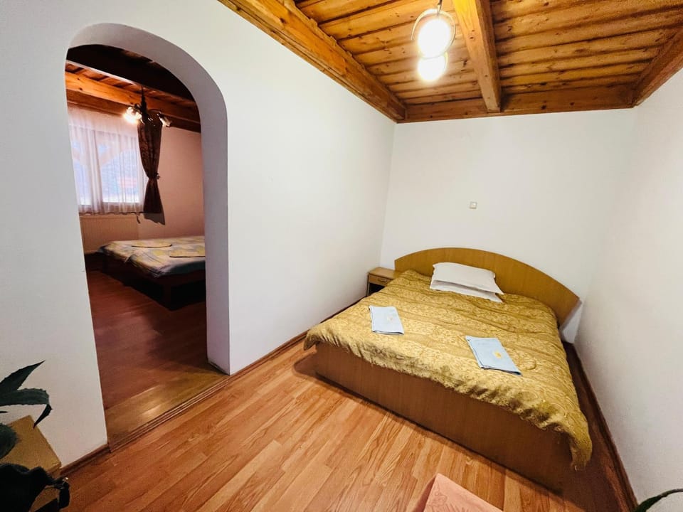 Saratura Cerbilor House in Romania