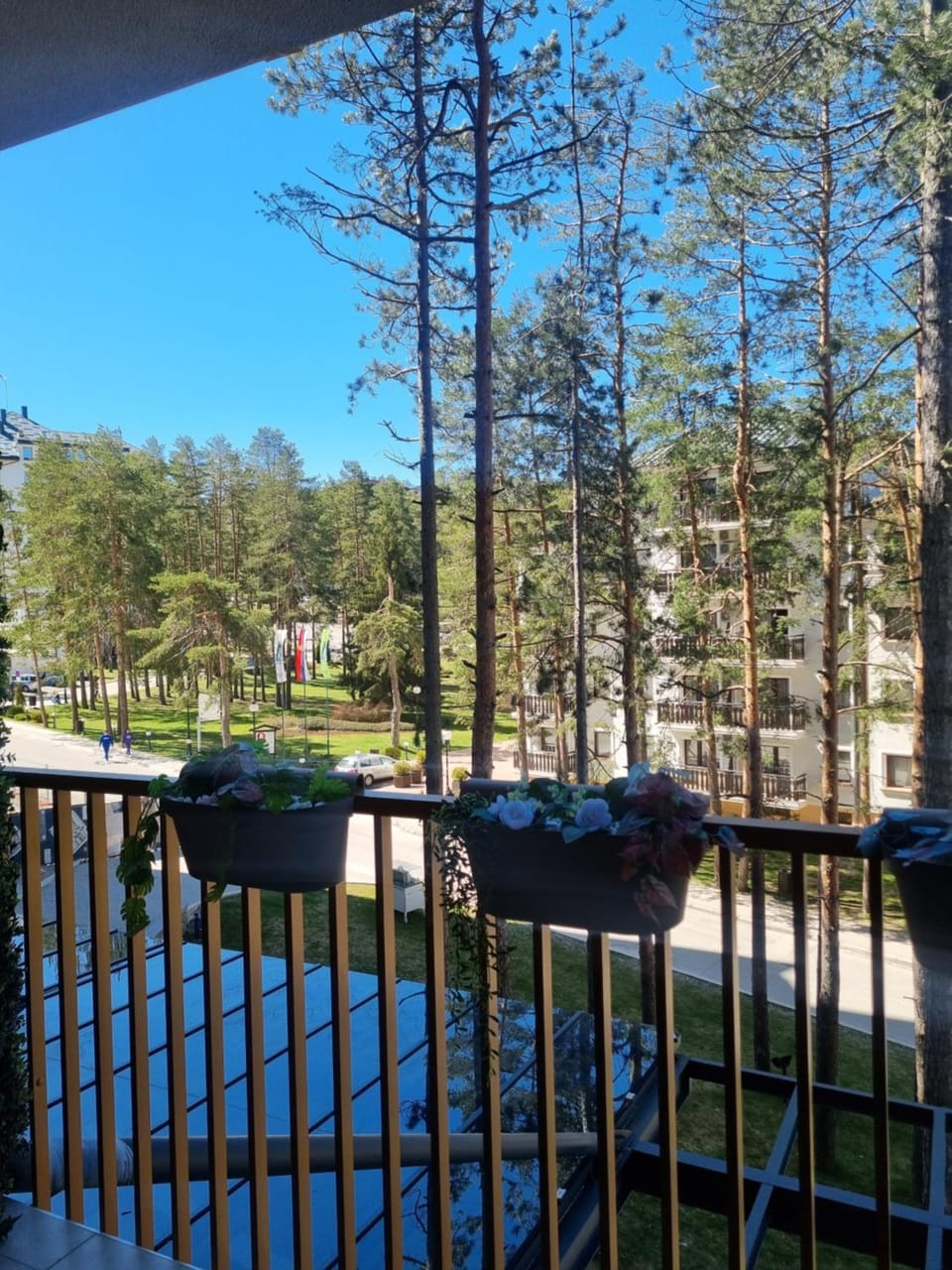 Spring, Day, Natural landscape, View (from property/room), Balcony/Terrace, Garden view
