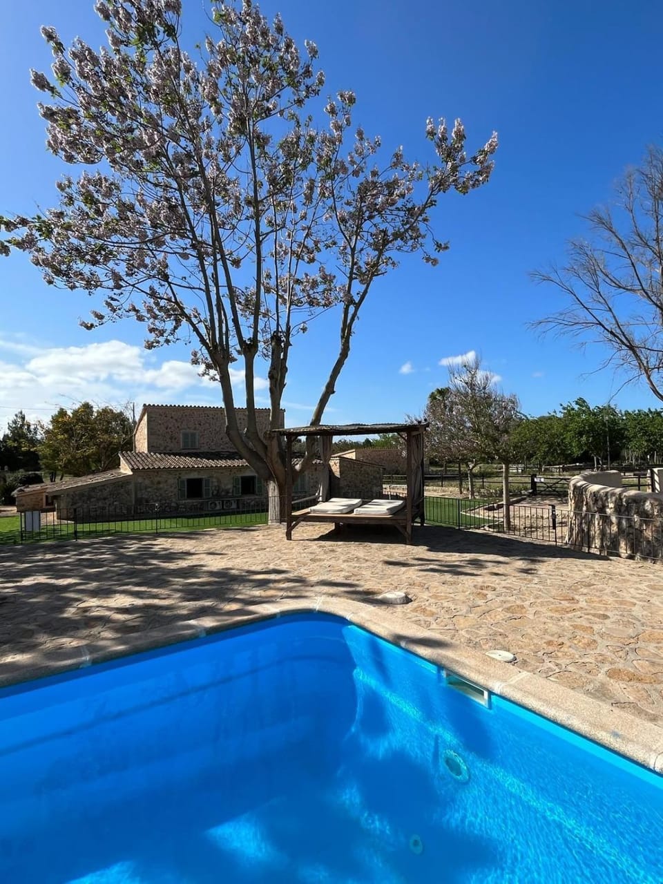 Swimming pool, sunbed