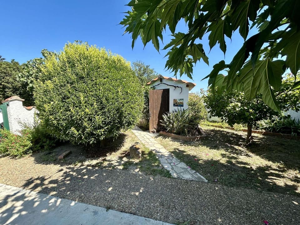 Day, Garden, Garden view