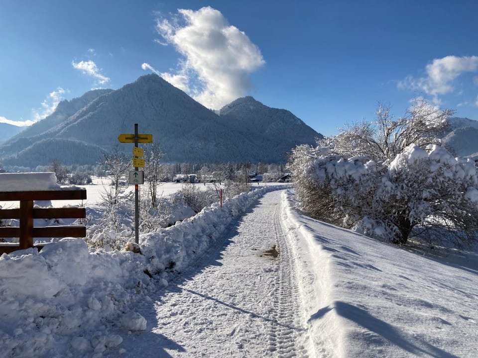 Ferienwohnungen Beim Zellerbäck inkl. Chiemgaukarte Apartment in Ruhpolding