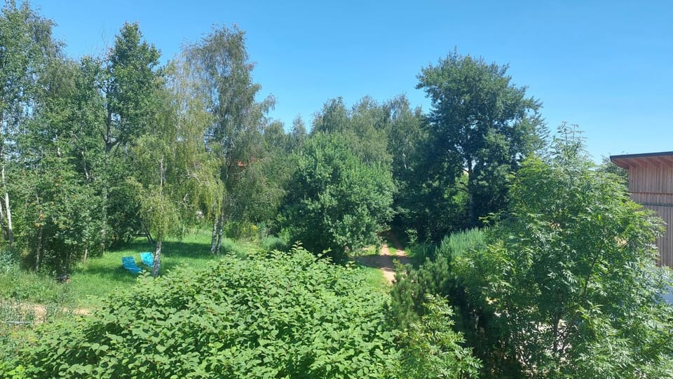 Natural landscape, View (from property/room), Garden view