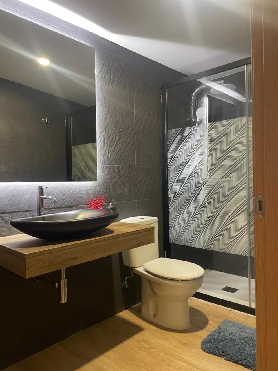 Bathroom, Living room