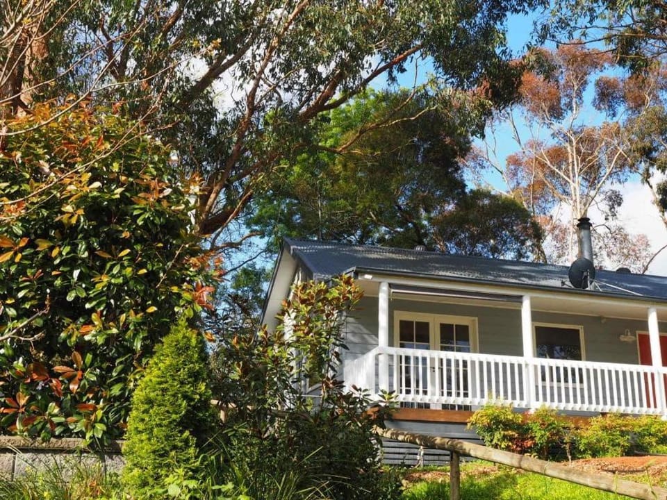 Property building, Garden view