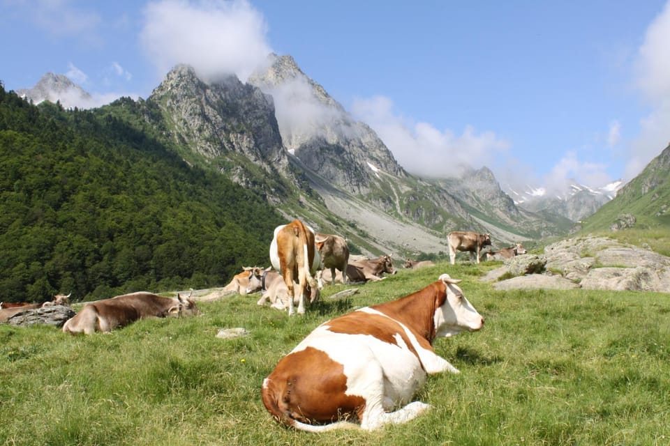 Natural landscape