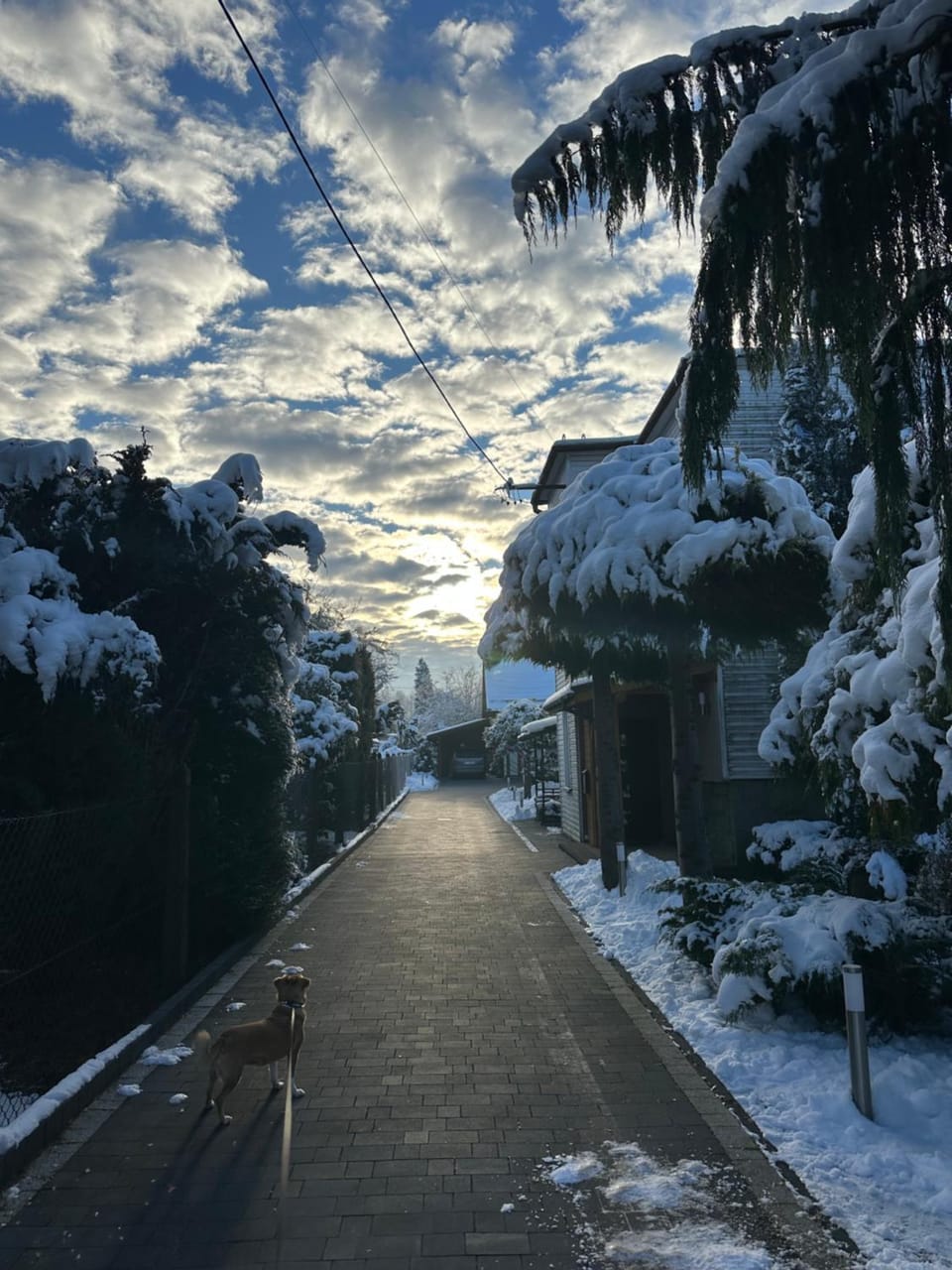 Day, Neighbourhood, Natural landscape, Winter