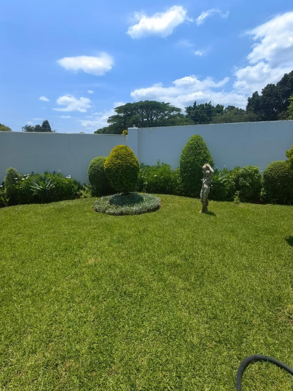 55 On Paisley House in Zimbabwe