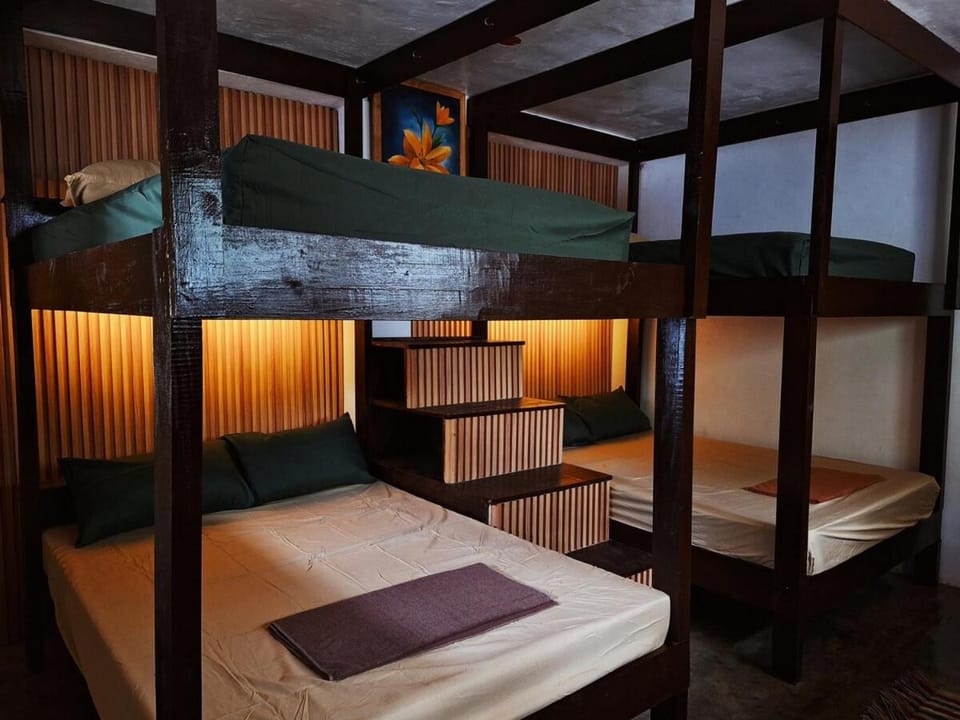 Bed, Photo of the whole room, Bedroom, bunk bed