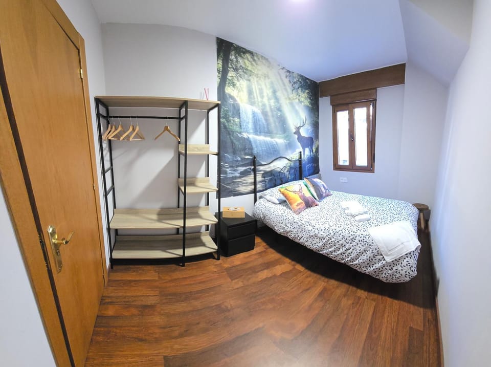 Bed, Photo of the whole room