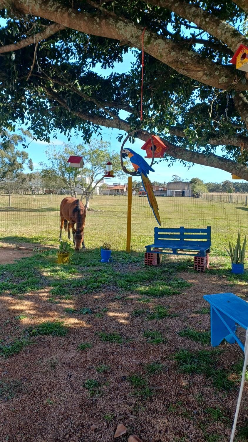 6-Kit net com piscina Apartment in State of Rio Grande do Sul