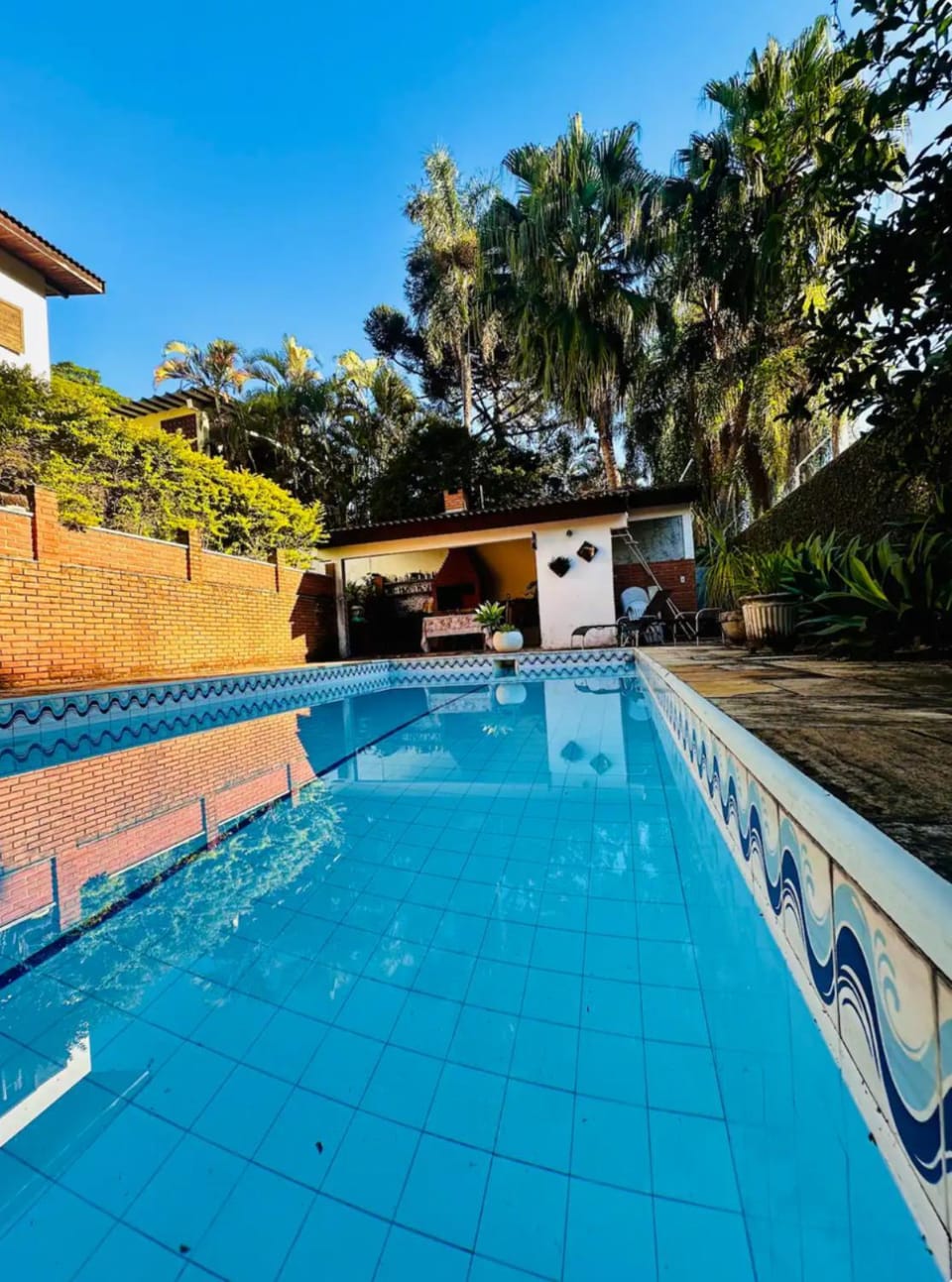 Day, Pool view, Swimming pool, sunbed