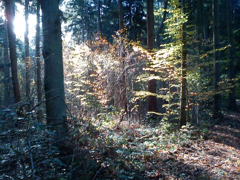 Natural landscape