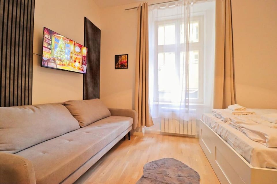 Spacious apartment in the center of Prague Apartment in Prague