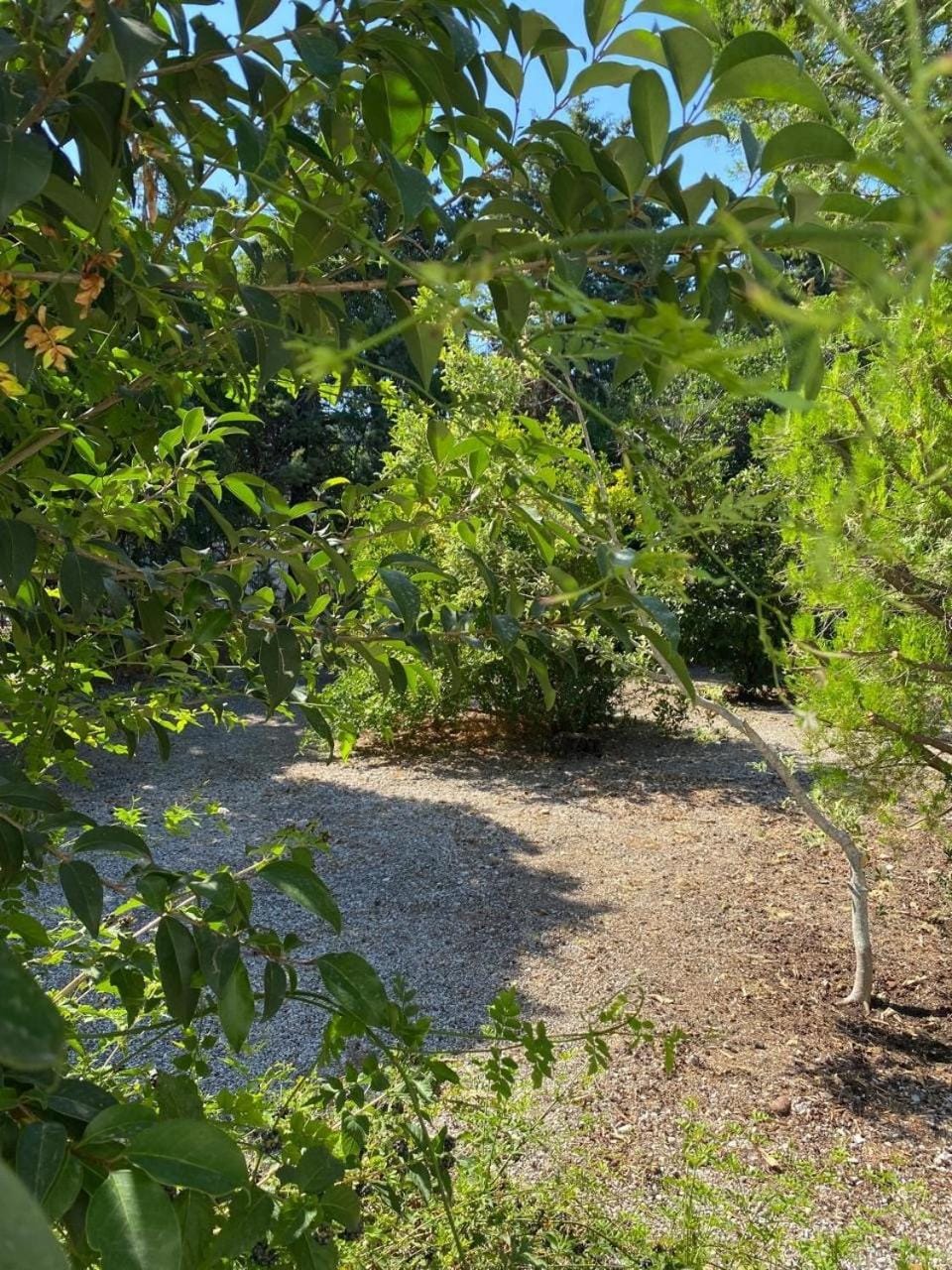 Summerhouse Marianna House in Ialysos