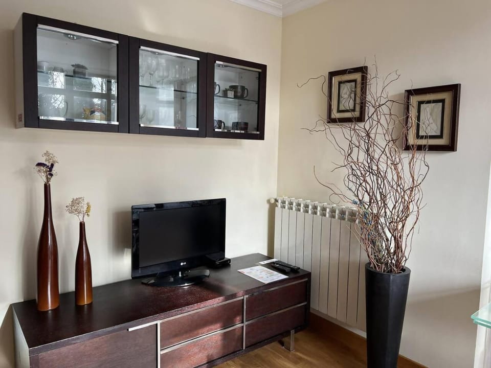 TV and multimedia
