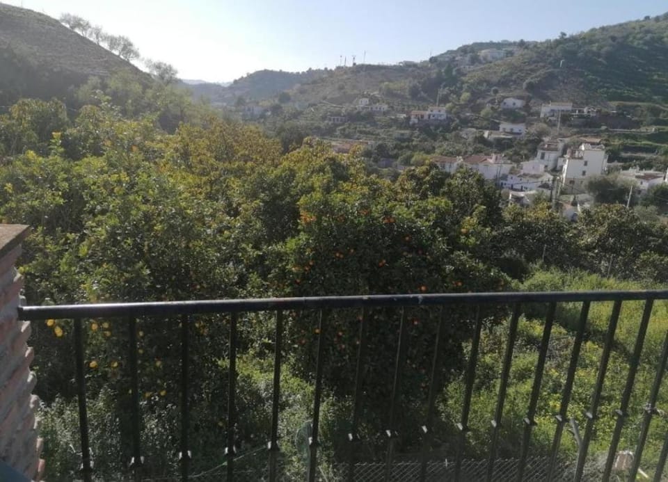 Nearby landmark, Spring, Day, Natural landscape, Bird's eye view, City view, Mountain view