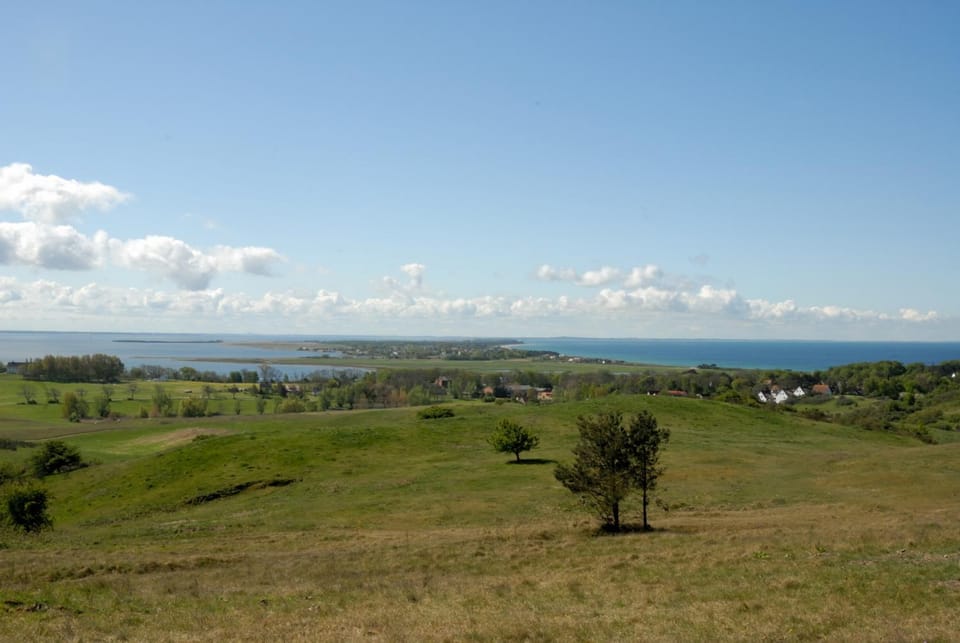 Natural landscape