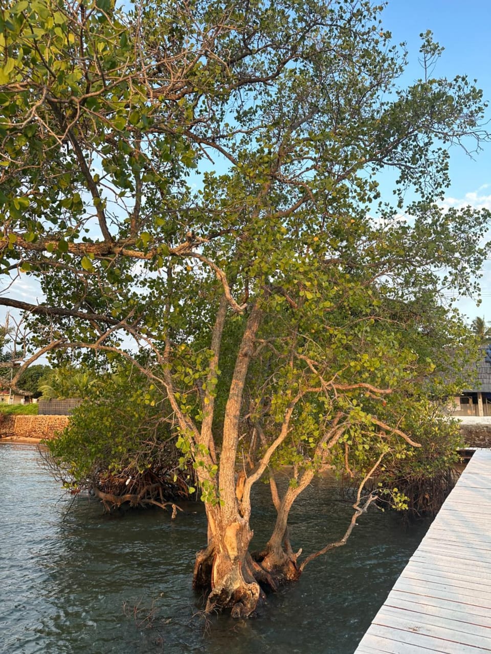 Sembulang Beach House Bed and Breakfast in Riau Islands, Indonesia