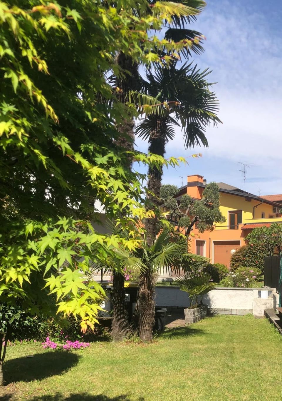 Property building, Garden view