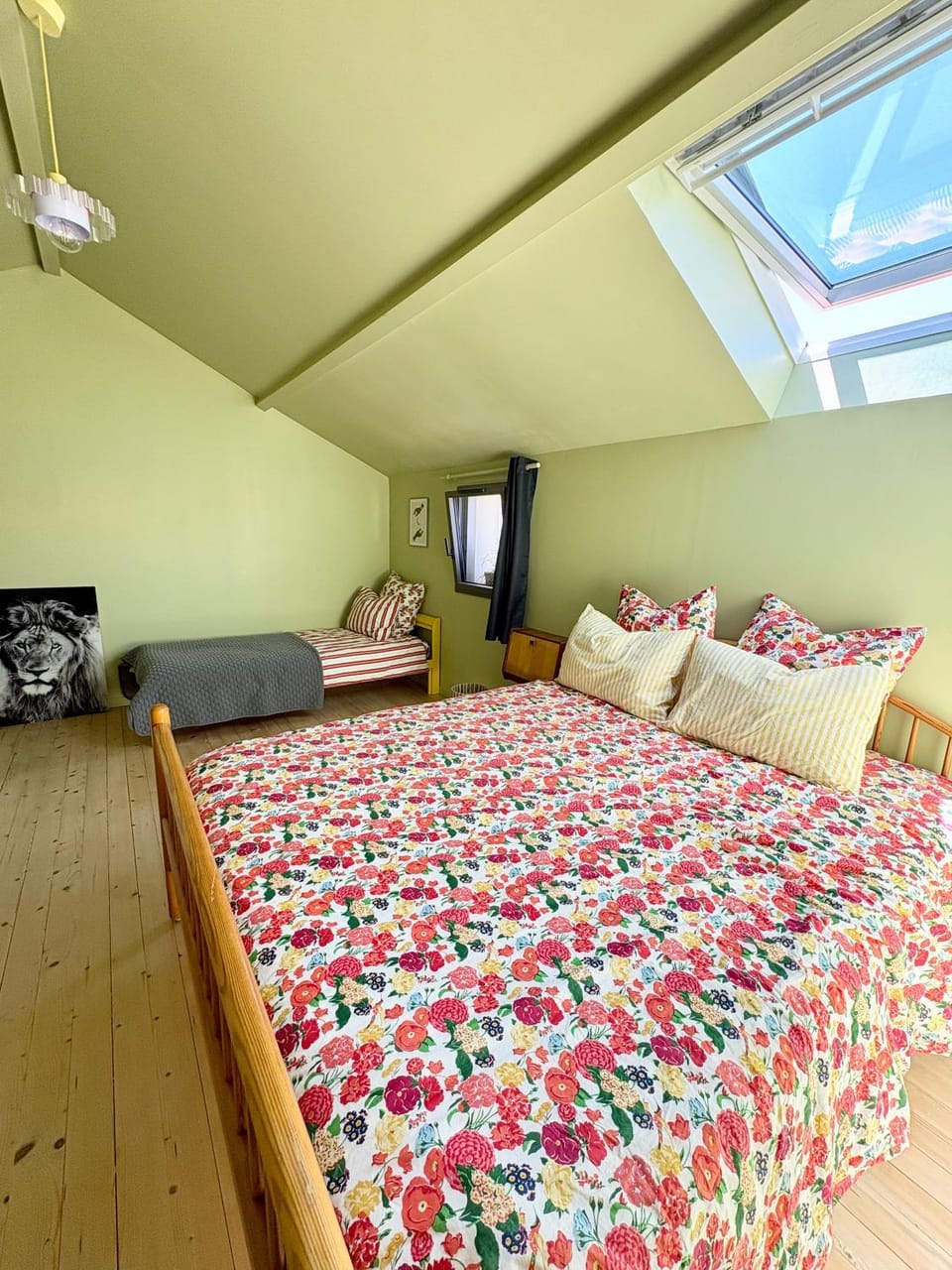 Bed, Photo of the whole room, Bedroom