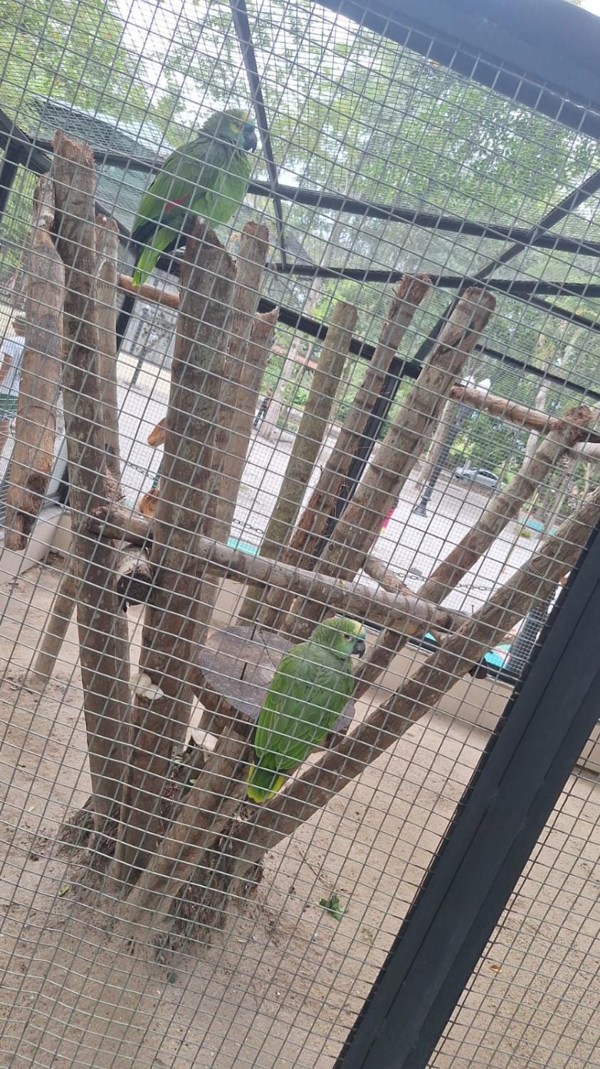 Natural landscape, Animals, Entertainment