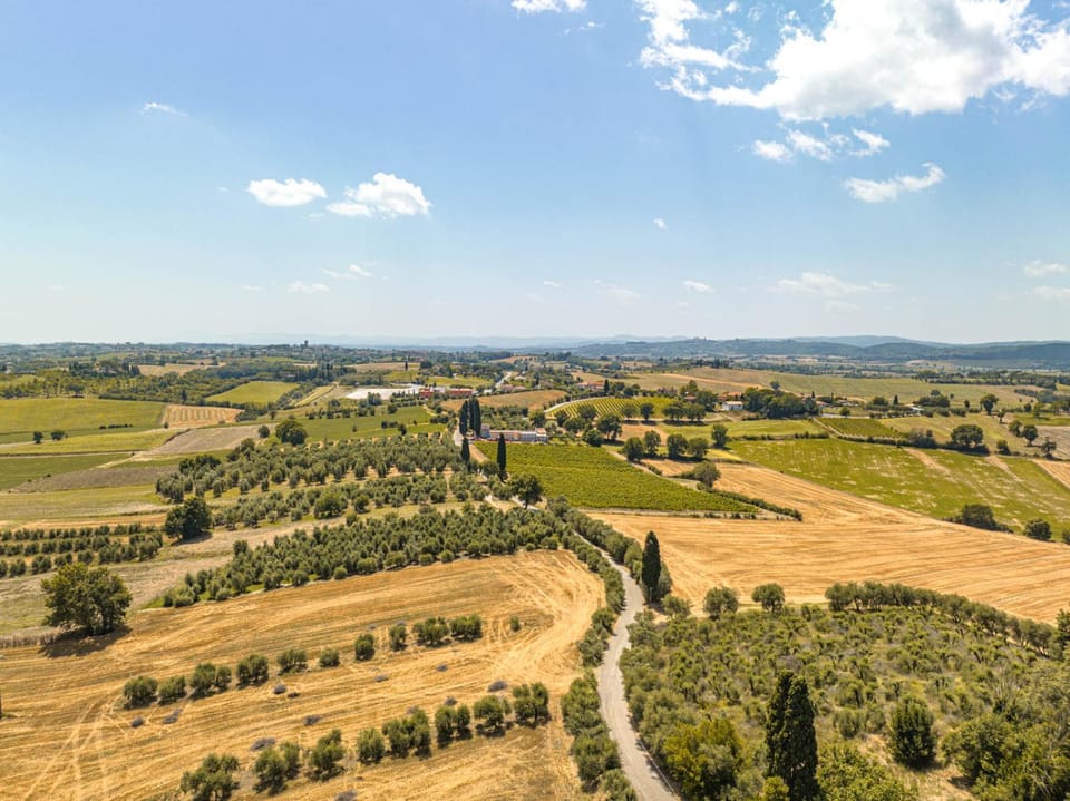 Natural landscape