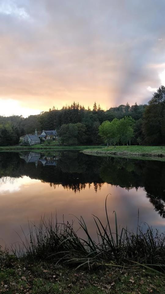 Les Etangs de Pitié Bed and Breakfast in Brittany