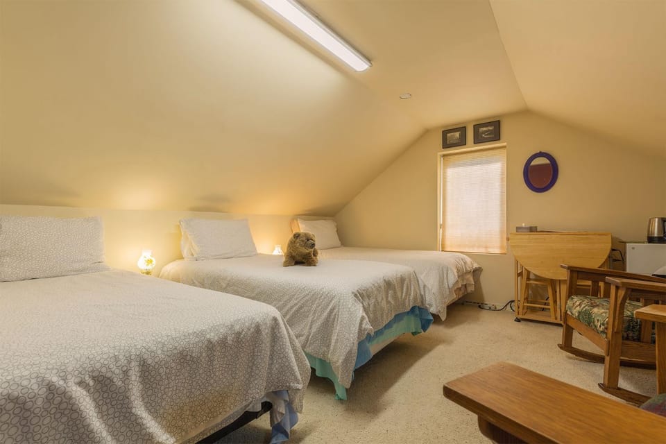 Homer Stay and Play Bed and Breakfast in Homer