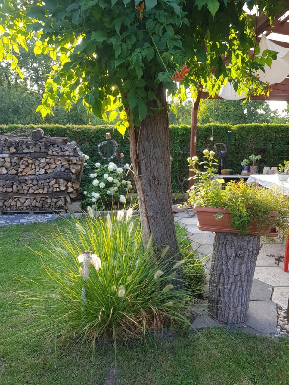 Day, Garden, Garden
