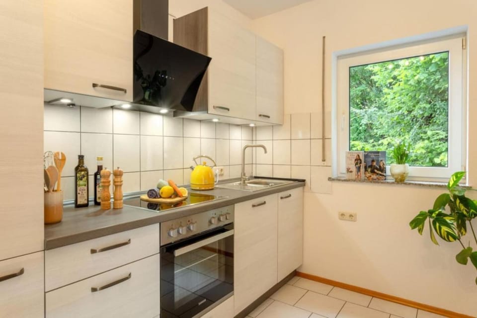 Kitchen or kitchenette, dishwasher, stove