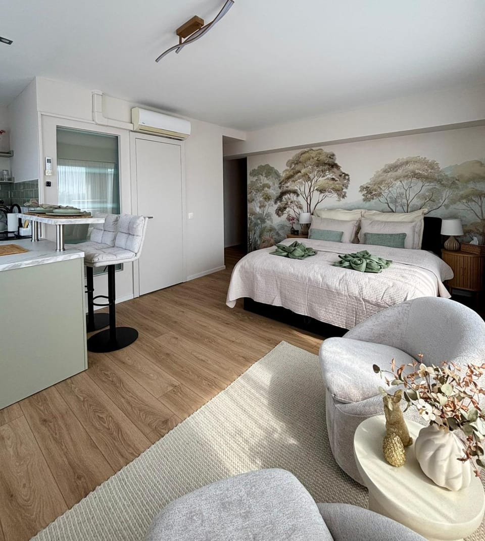Bed, Living room, Photo of the whole room, Dining area, Bedroom, air conditioner