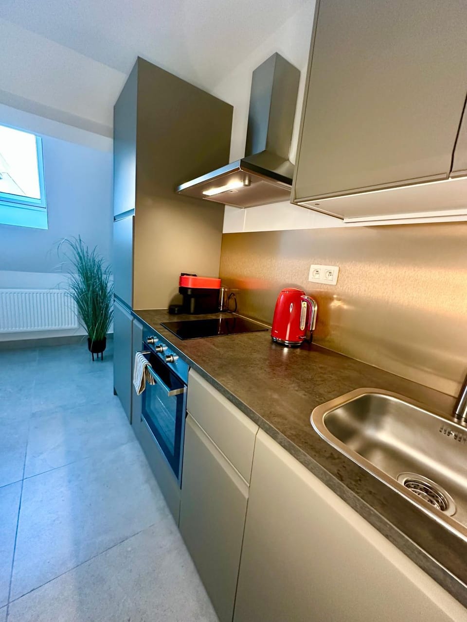 Kitchen or kitchenette, kitchen
