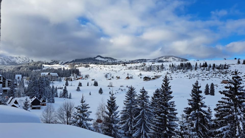 Mountain view