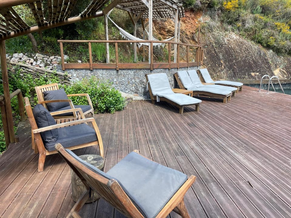 Patio, Natural landscape, Garden, Swimming pool, sunbed