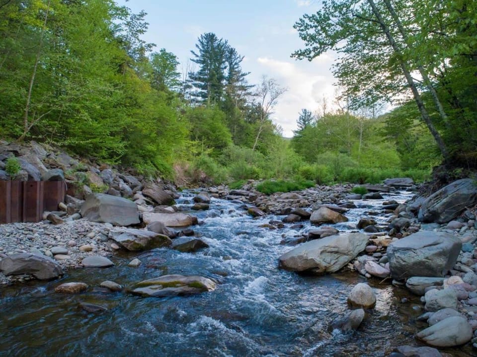 Private Cabin by River with Fireplace Cabin in Shandaken
