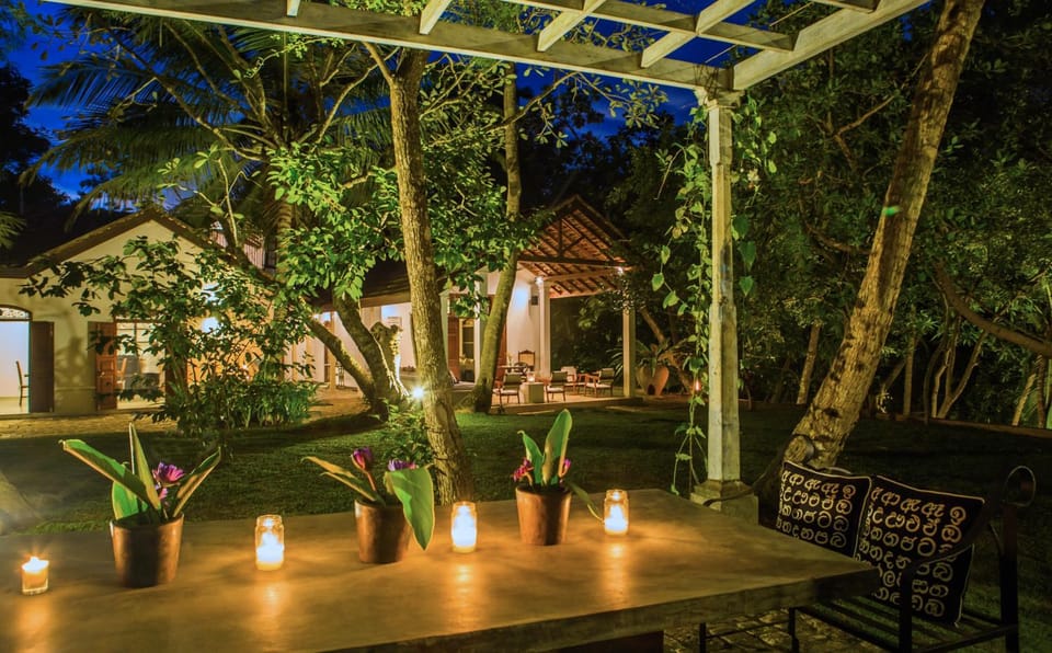 Night, Garden