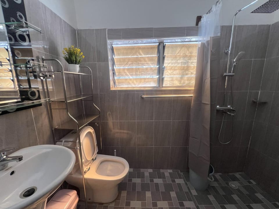 Shower, Toilet, Bathroom, bidet