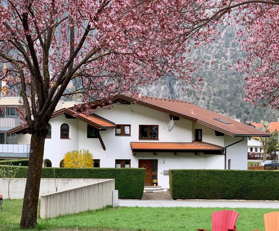 Property building, Spring