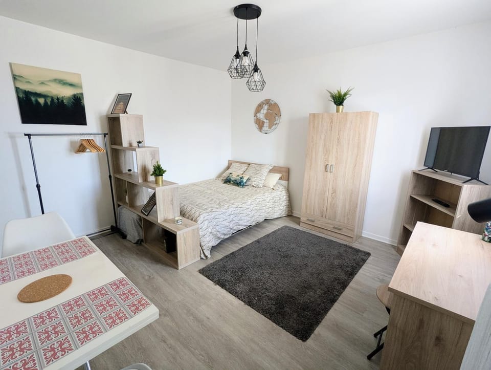 Bed, TV and multimedia, Living room, Photo of the whole room, Seating area, Bedroom, wardrobe