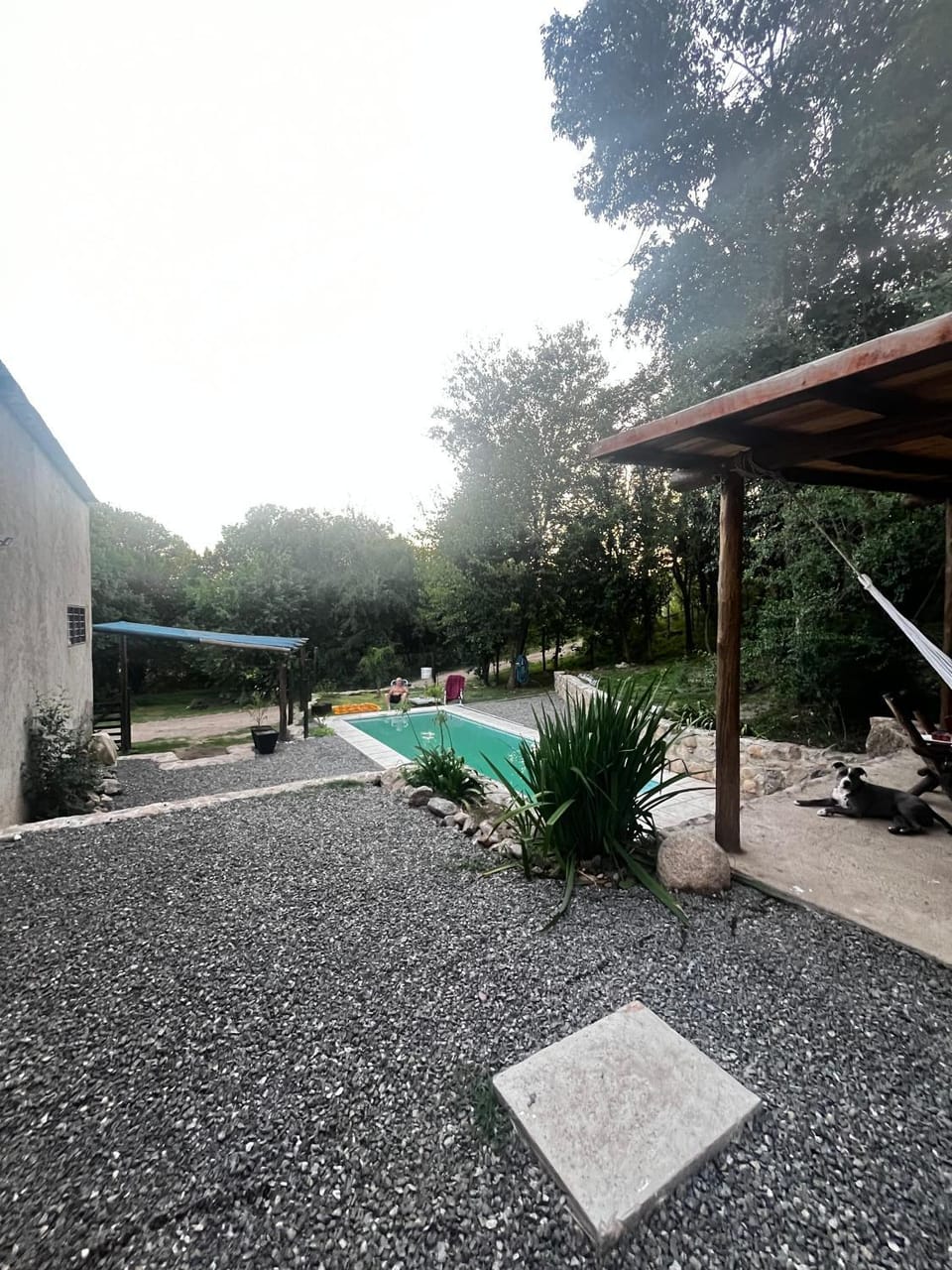 Day, Garden, Garden view, Pool view, Swimming pool