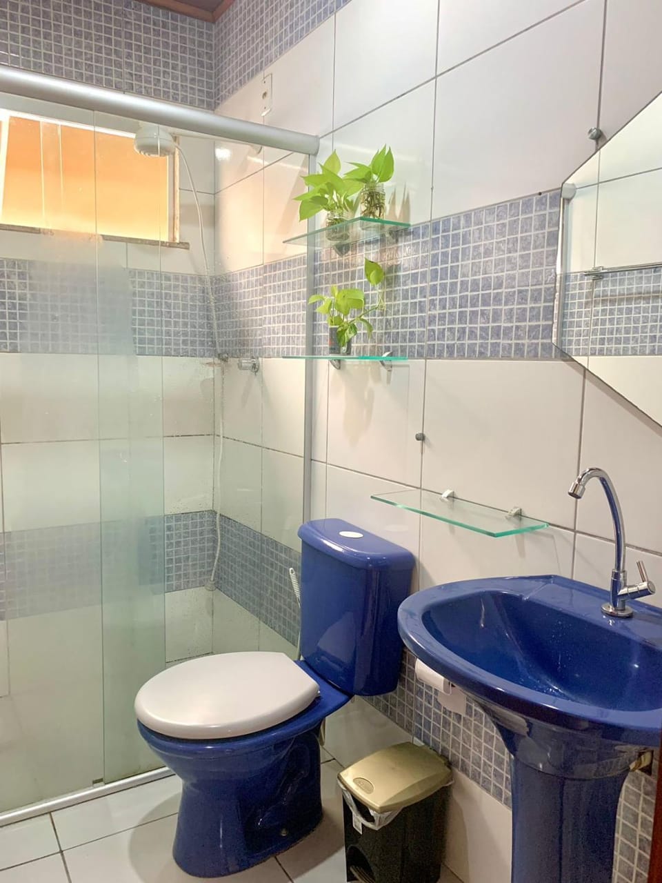 Shower, Toilet