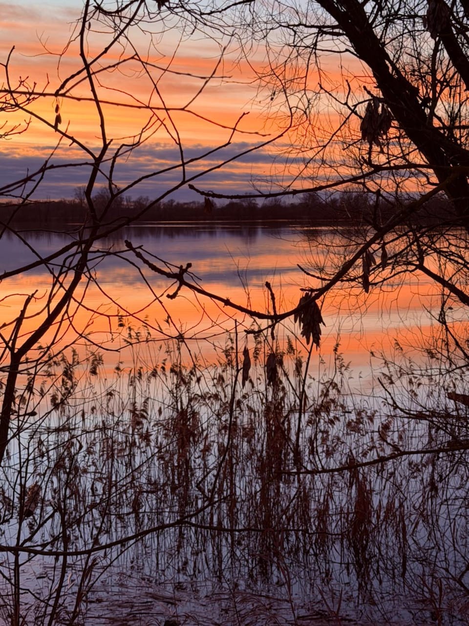 Natural landscape, Lake view, River view, Sunset